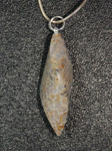 Agatized Dinosaur Bone Pendant - Green Spiderweb #4277